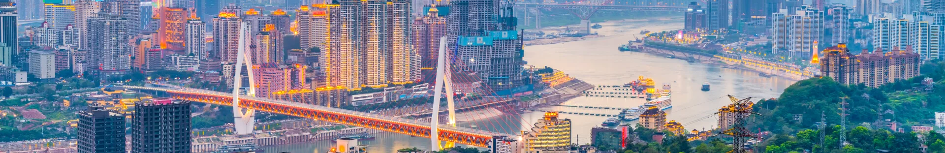 Hong Kong Bridge View Banner